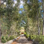 Villa Sant Elia - Country Retreat