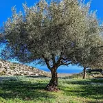 Villa Sant Elia - Country Retreat Noto