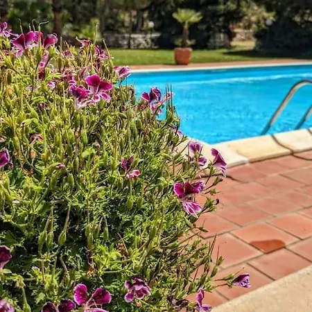 Villa Sant Elia - Country Retreat *